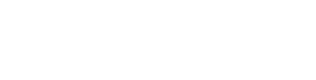 Logo Aeroforce - Marine Propulsion Wings